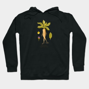 Mandrake Hoodie